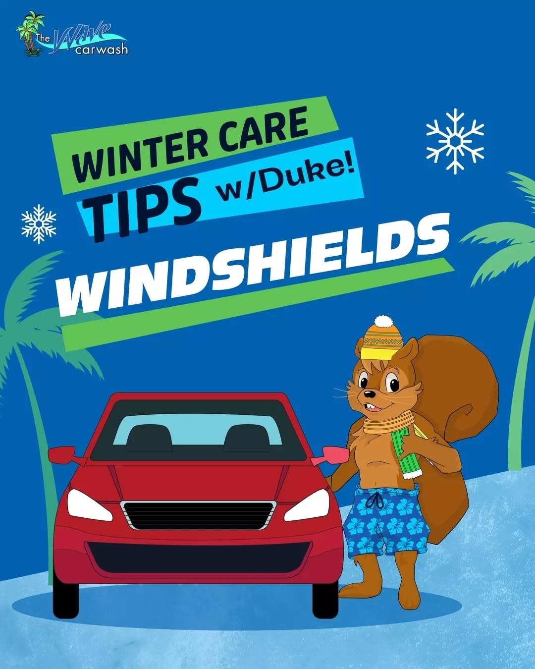 Duke the Squirrel back to share more Winter Car Care Tips with you! This time, it's all about windshields! 🐿️🚘 Save this post and stay cozy and road-ready this season with these helpful tips!